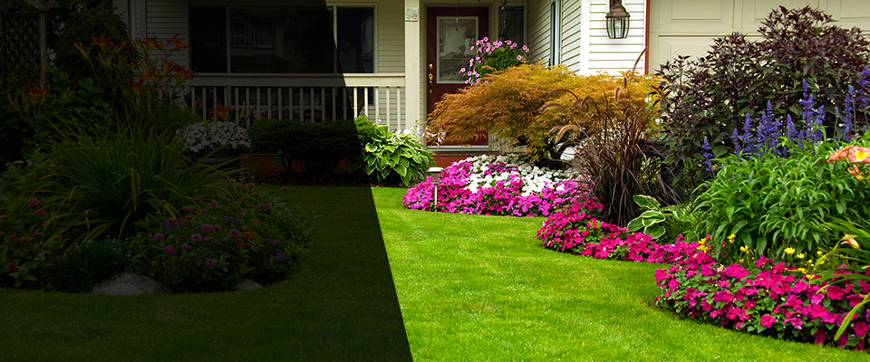 Old Bethpage Landscapers