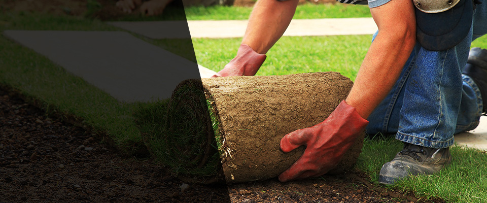 Old Bethpage Landscapers